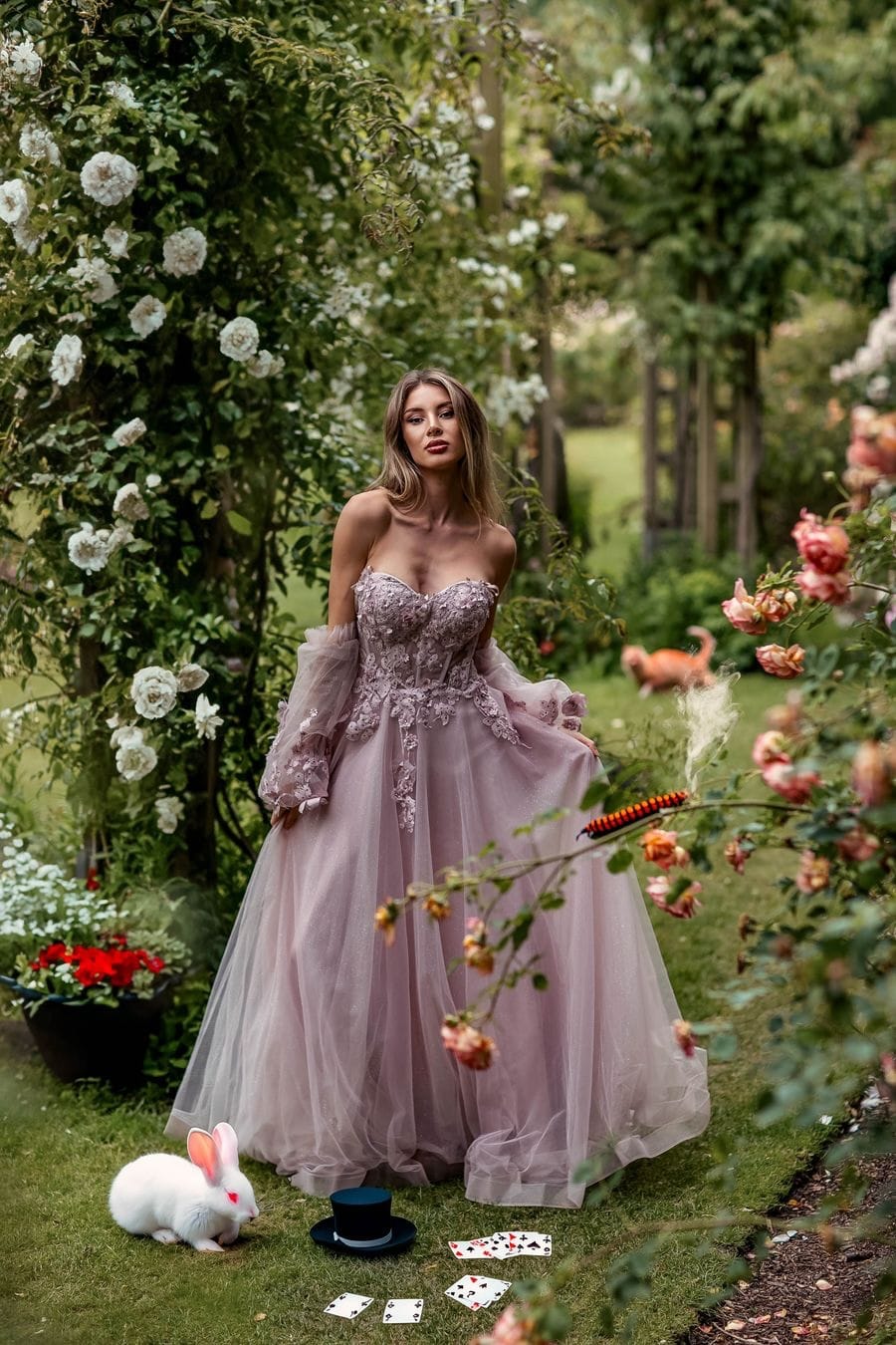 249553-a1690735449175